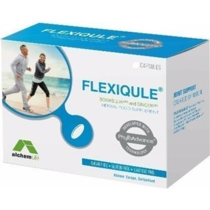 Flexiqule 60 Kapsül  05/2021
